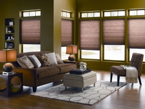cellular shades 4